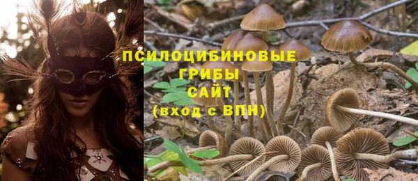 дживик Баксан