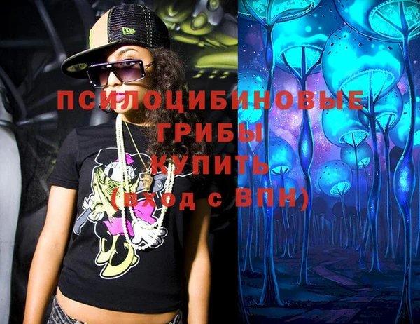 соль ск Осташков